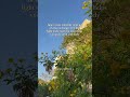 Make Space For Growth This June Softly And Freely Make Space For Growth This June Softly And Freely