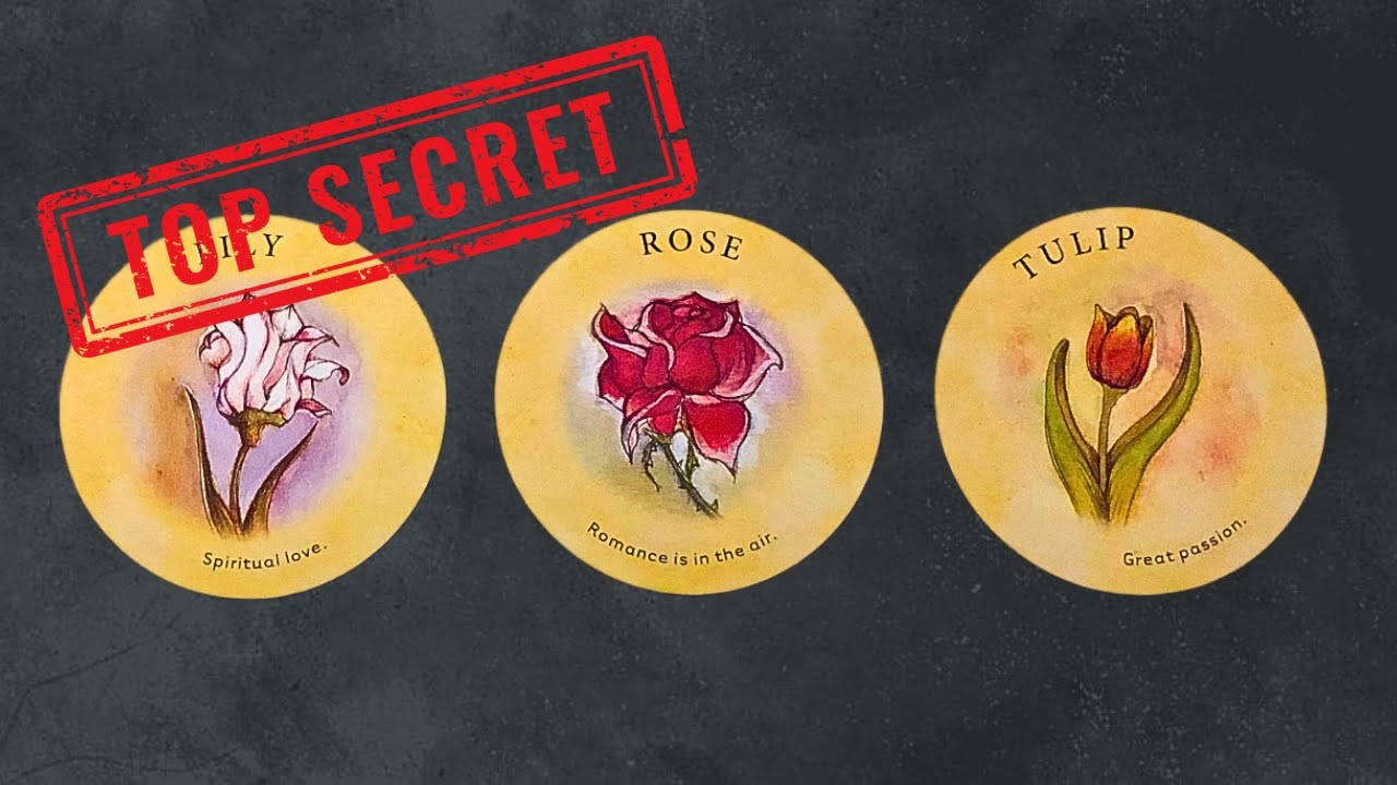 NGƯỜI KHÁC GIỚI MÊ MẨN BẠN Ở ĐIỂM NÀO? @ChubbyTarot TAROT READING