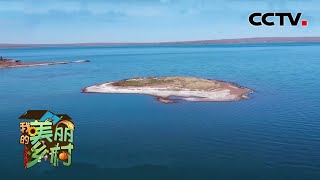 传说中王昭君泪化湖泊处,今为贾家梁人的生态家园 | CCTV「我的美丽乡村」20201201 传说中王昭君泪化湖泊处,今为贾家梁人的生态家园 | CCTV「我的美丽乡村」20201201