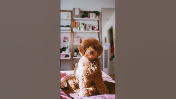 Point & Shoot IMPORTANT Tip!