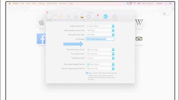Guide to Setting Up Homepage On Safari Browser