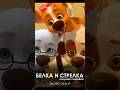 Белка и Стрелка, Озорная Семейка!  #cartoon #shorts #белкаистрелка