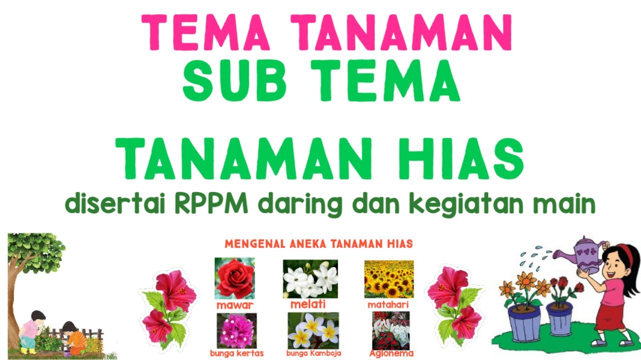 Belajar di rumah tema tanaman sub tema tanaman hias  YouTube