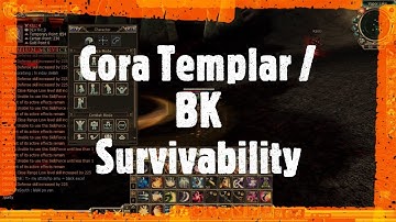 Cora Templar BK Survivability - RF Online PlayPark ProtoNexus