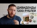 Инвестиции для чайников. С чего начать инвестировать в 2024 году? Быстрый старт с чего начать