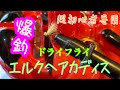超初心者専用　ドライフライ　エルクヘアカディス