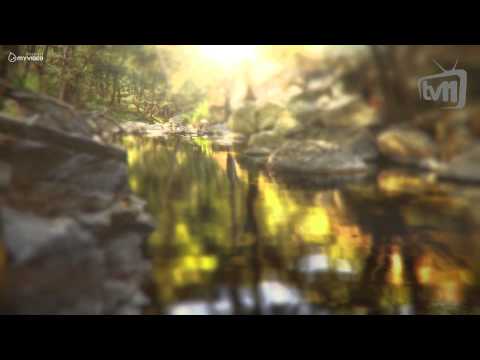 დასახლებების დასახელება - ხაშური