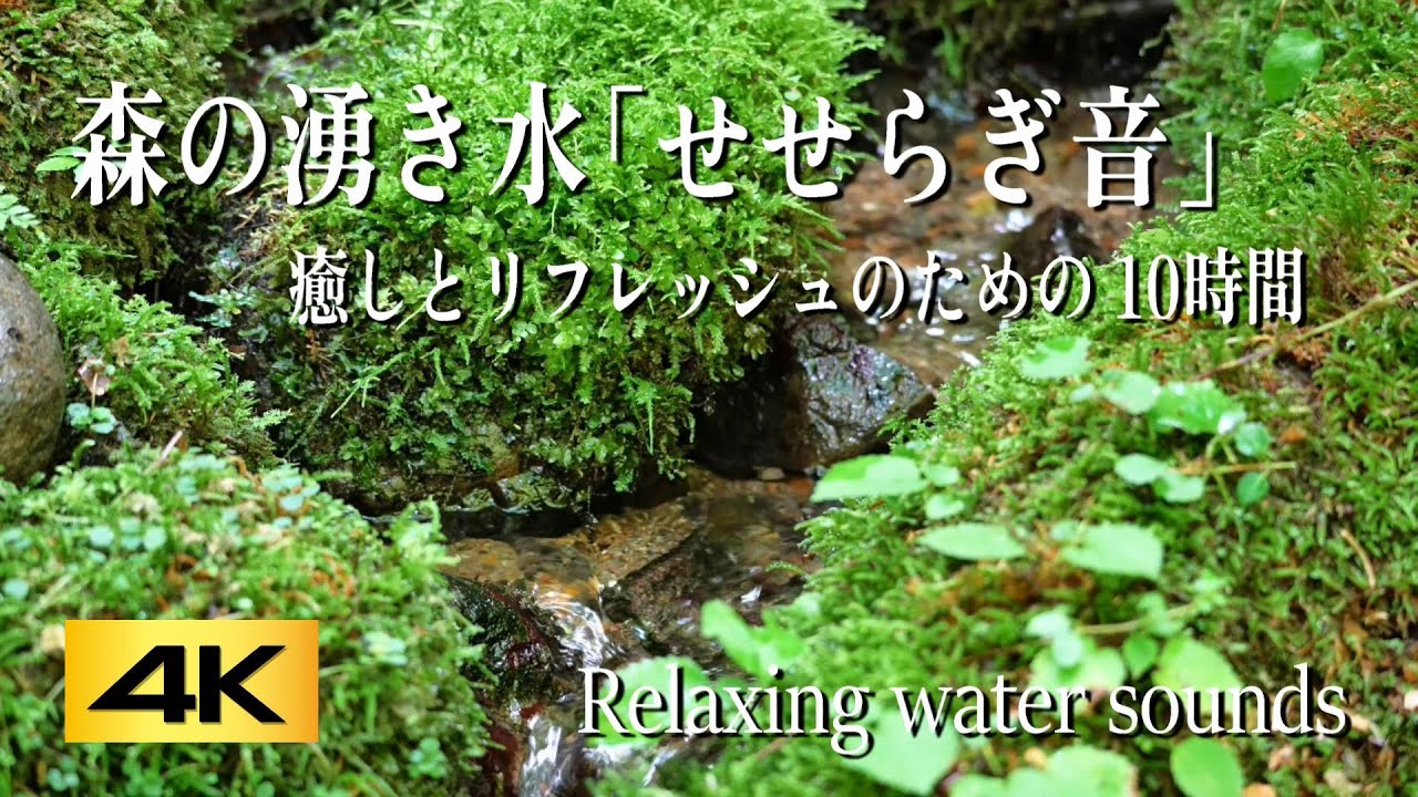 自然音/ASMR】森の湧き水｜川のせせらぎで究極のリラックス｜自然の中