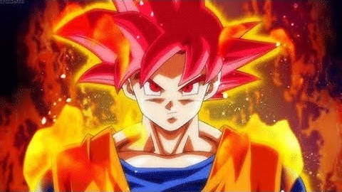 DragonBall Z Final Stand: SUPER SAIYAN GOD FUSION!!