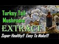 Turkey Tail Extract 2018 - Super easy to make / very healthy mushroom -Trametes versicolor tincture