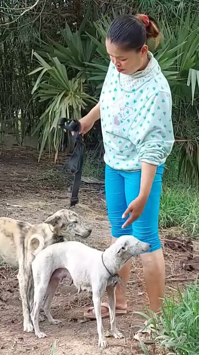 Want to have a beautiful female dog 2024