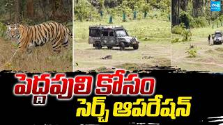 పెద్దపులి కోసం సెర్చ్ ఆపరేషన్  | Tiger Search Operation By Forest Police Department | Sakshi TV