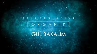 Erkan Güleryüz - Gül Bakalım (Lyrics Video) Resimi