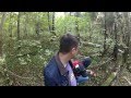 Командно дальномерный пост в лесу на Куршской косе