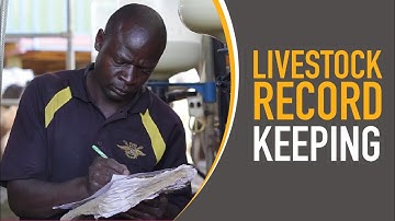 Livestock Record Keeping - Expert Advice