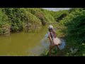 Best Video Hook Fishing .Beautiful Girl Fishing a lot of big tilapia