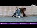 تقرير عن التنمر في المدارس ومحاولة قتل كلام صريح عبيدة عبده