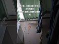 殺処分寸前の犬が保護され次は里親さんに置き去り#犬救助#Dogs about to be put to death are rescued, then , dog rescue