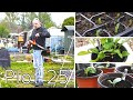 Vlog 60 - Our Allotment Adventures - Weed Whacking &amp; Planting