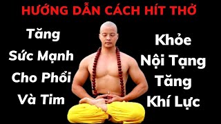 Thở Cơ Hoành - Tăng Sức Mạnh Cho Tim + Phổi - Hệ Thống Hô Hấp & Lục Phủ Ngũ Tạng (thở đan điền)