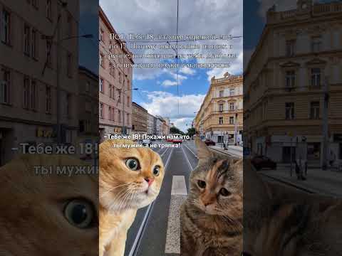#рилс #рилсы #рилсинстаграм #взаимнаяподписка #хочуврек #лучшее #длявас #тренды #просмотры #summer