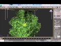 Speedtree и 3D MAX. Создание и анимация дерева.