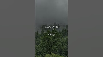 ﴿أَفَلَا تَتَذَكَّرُونَ﴾ سورة السجدة عبدالرحمن مسعد #القرآن_الكريم #ارح_قلبك