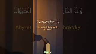 Käşgä Giç Bolmanka Düşünsediler.....