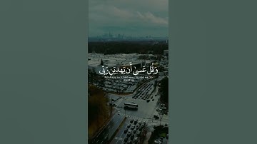 تلاوة هادئه ❤تفيض جمالاً❤ أرح بها سمعك وقلبك  ❤️