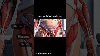 How Baby Comes Out Naturally 👶 Real Delivery Animation#process #human #anatomy #foryoupage #delivery