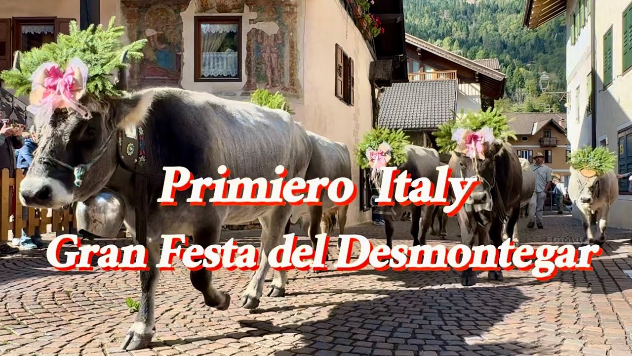 Gran Festa del Desmontegar | Primiero Italy Ep.1