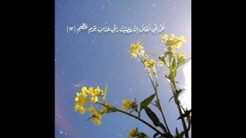 آيات من سورة الزمر بصوت الطفل طه جنيد حالات واتس آب.