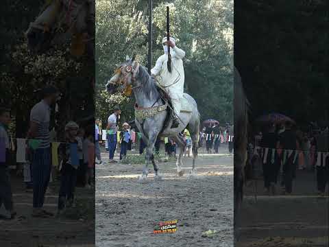 فرسان  فرسان الجزائر اكسبلور خيل دويتو 