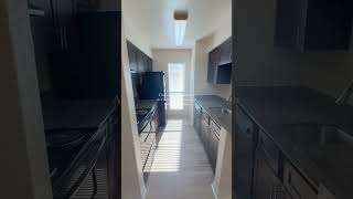 Timberlake Apartments: A1 1 Bed +1 Bath, 600 Sqft Floor Plan Tour