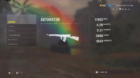 Max Damage *3* Shot Automaton Class Setup