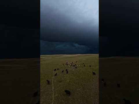 الطقس الأكثر جنون ا على الإطلاق في بريسبان