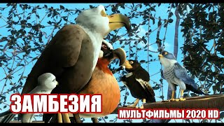Замбезия 3D 2020 Мультфильм