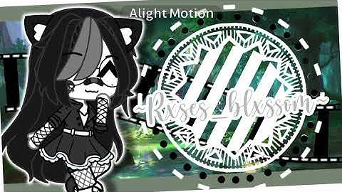 Yolo New Intro incoming!