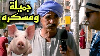 مقلب اكل لحم الخنزير في مصر مقابل     دولار   ردود أفعال صادمة  سمعها