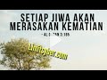 11 Agustus 2019 #Setiap jiwa akan merasakan kematian. Download Mp4