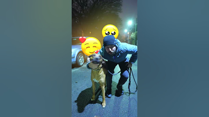 Pies robotyczny vs analogowy 🤣🐶