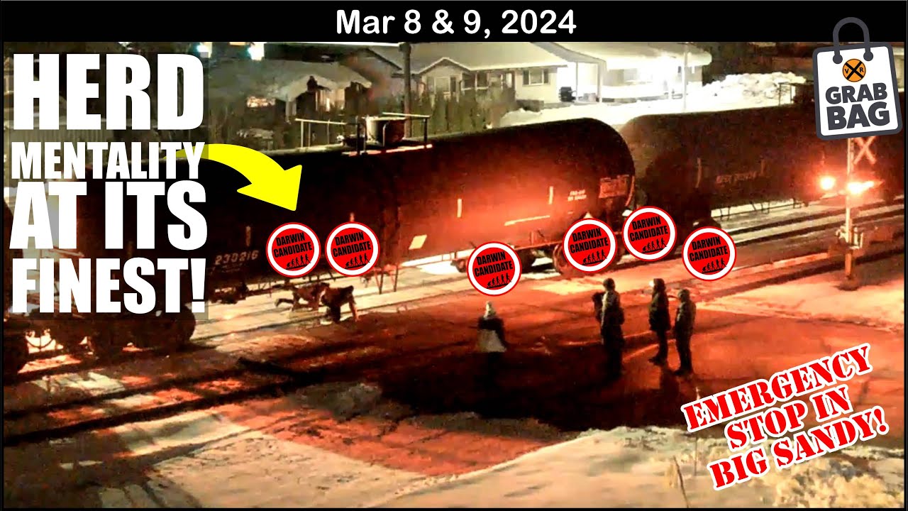 HERD MENTALITY AT ITS FINEST! EMERGENCY STOP, COYOTE, 2 EAST PENN ENGINES, MILITARY TRAINS & MORE