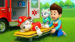 MARSHALL Please Wake Up - Don't Leave Us - Very Sad Story | Paw Patrol 2D Animation | Rainbow 3