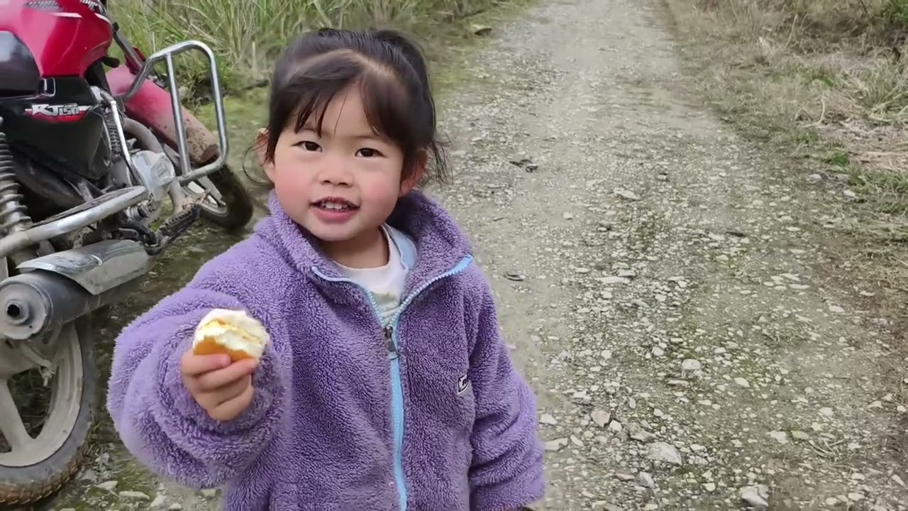 老表忍痛割爱几亩橘子树全部砍，老罗去帮忙悦悦去摘最后一批橘子