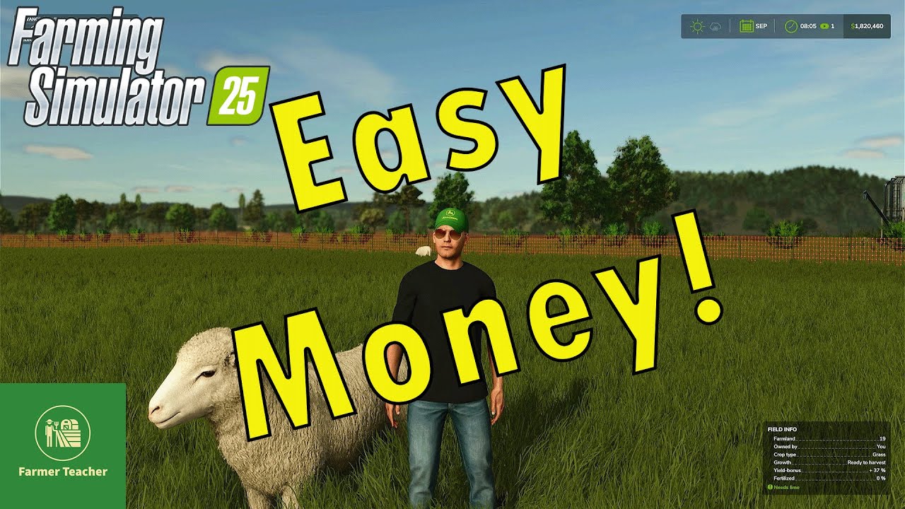 I Tried Sheep for a Year and Here’s What Happened!