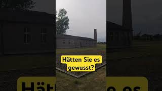 Das Kino im ehemaligen Konzentrationslager 💥