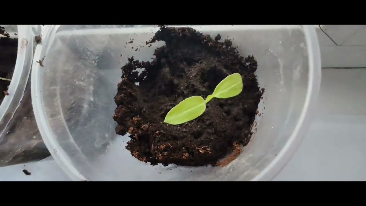 Я еду на море!!! 