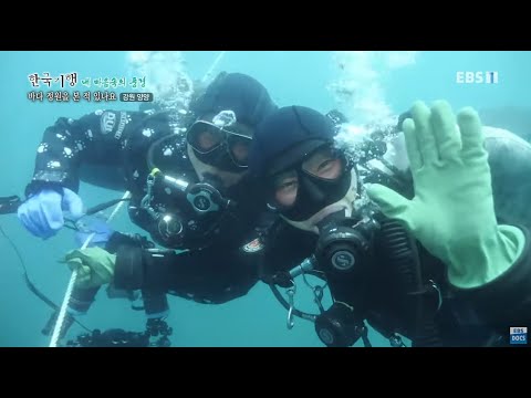 한국기행 - Korea travel_내 마음속의 풍경 3부- 바다 정원을 본 적 있나요?_#001