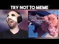 Princess Won't Bite! - Try Not To Meme #58