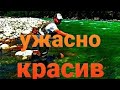 Дагестан, Дахадаевский район, автопутешествие Кала- Корейш, Кубачи, рыбалка, #кубачи, #ашты #уллучай